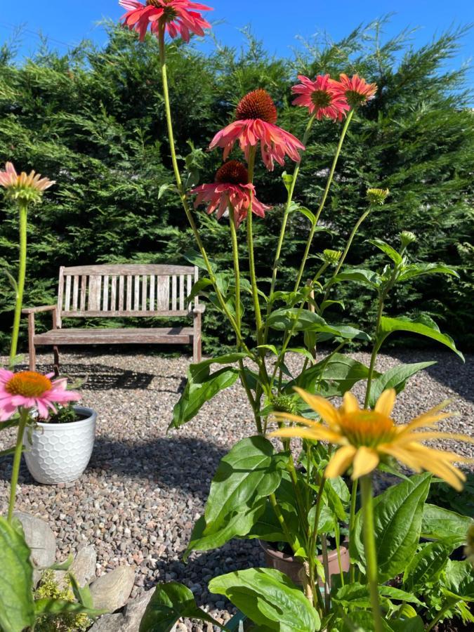 Willows Cottage Pitlochry Dış mekan fotoğraf